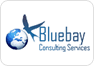 Bluebay Consulting Services